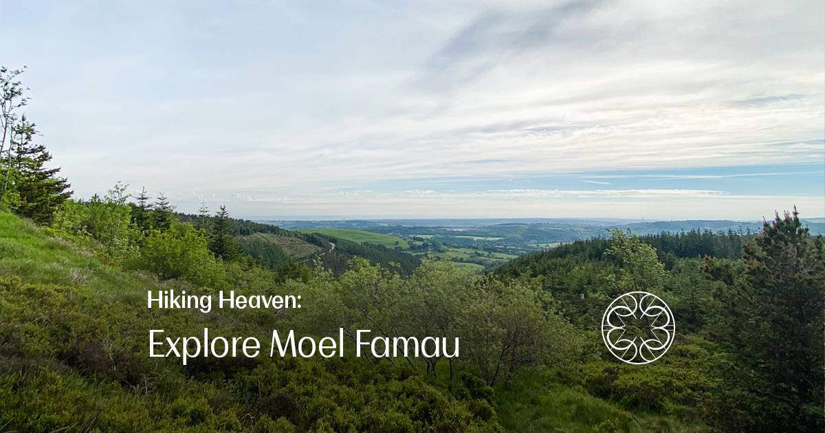 Hiking Heaven: Explore Moel Famau