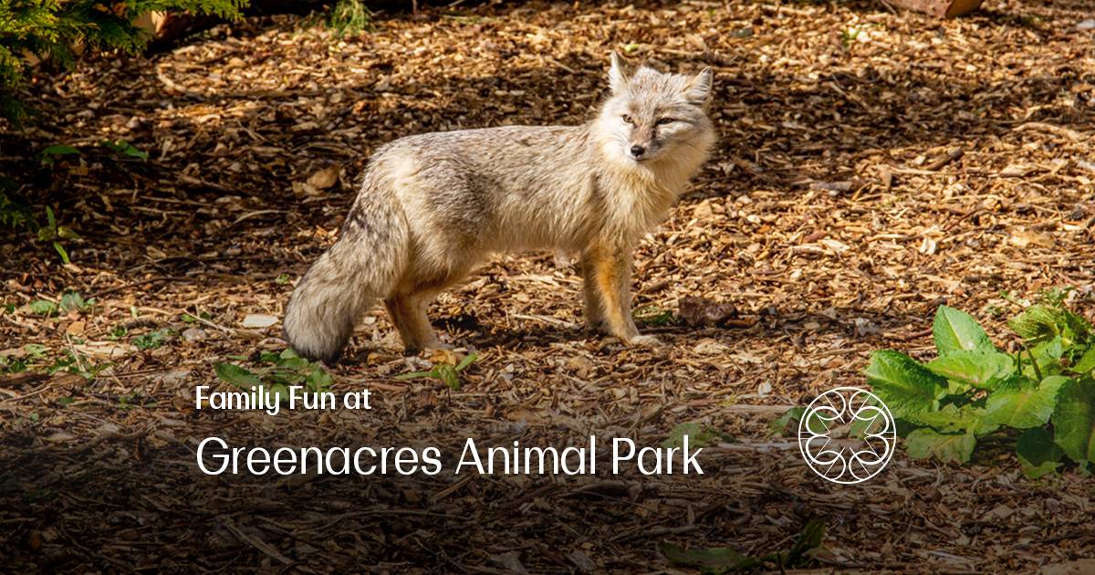 Greenacres Animal Park: Fun for All Ages